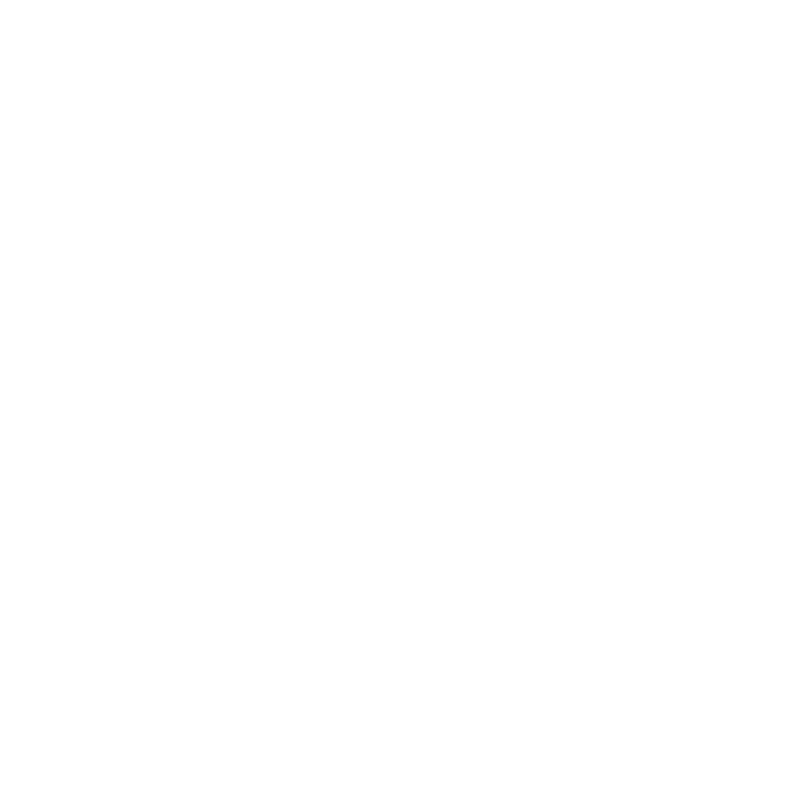 違反槍砲彈藥刀械管制條例案件